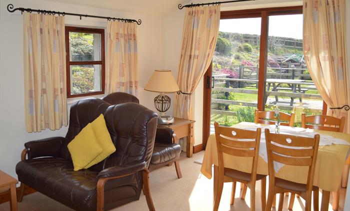 Talyllyn Cottage - Hendy